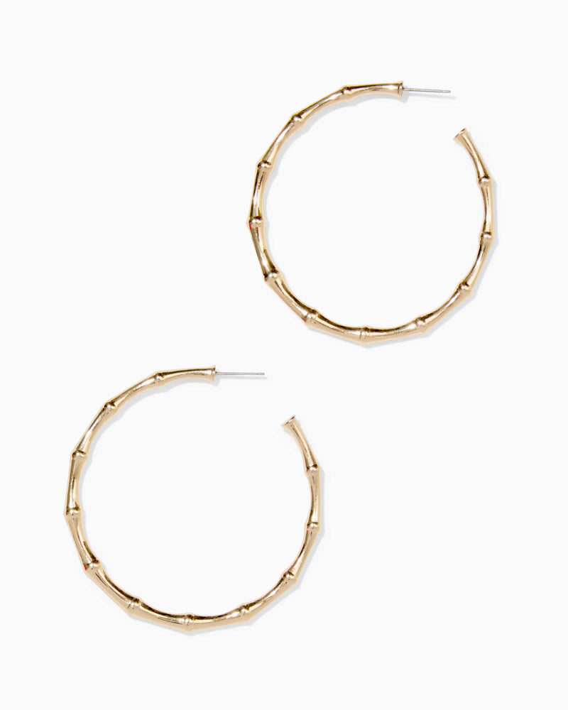 Bamboo Forest Hoop Earring