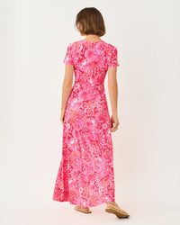 Lilliana Maxi Dress In Jims Stuff