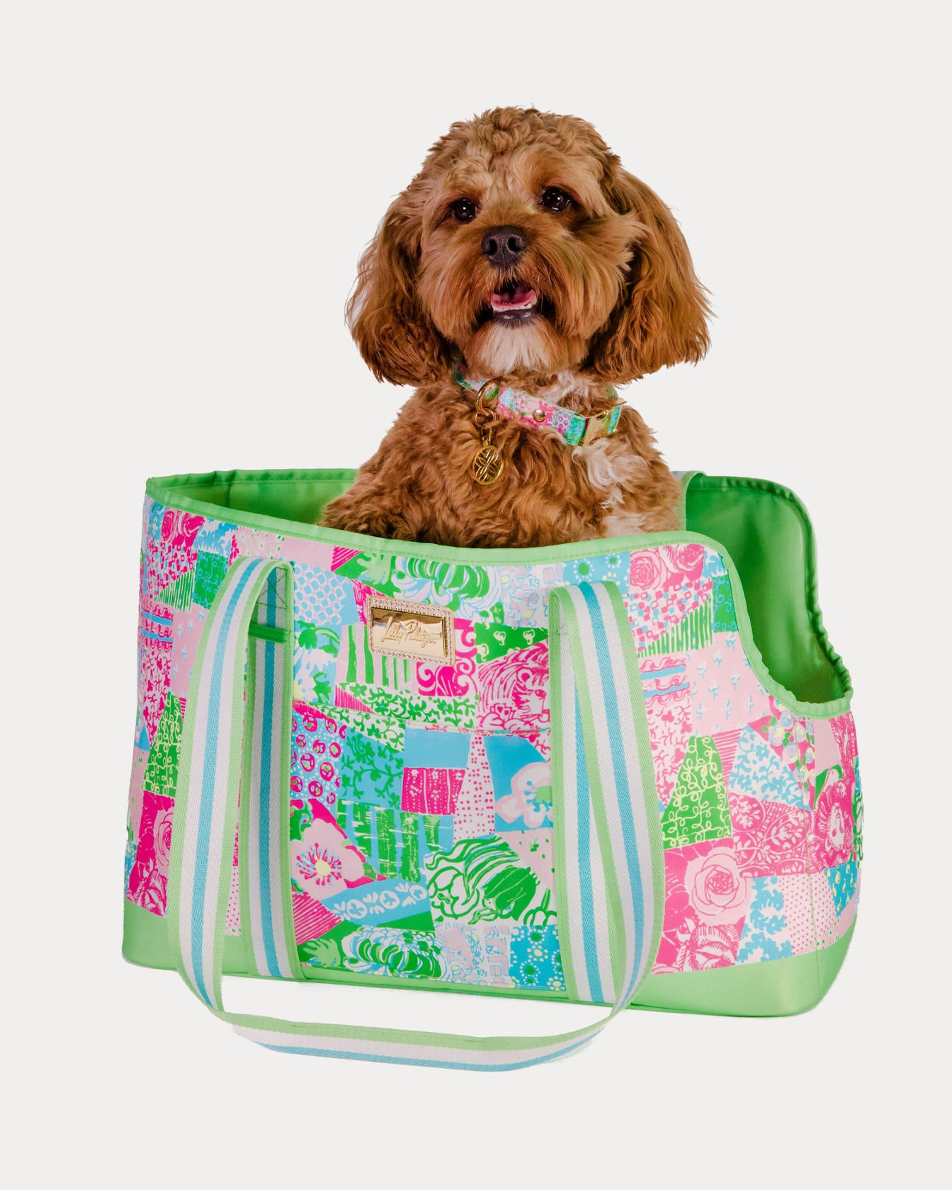 LG PET CARRIER