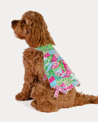 LG PET DRESS
