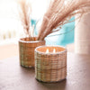 Hillhouse Naturals/Field+Fleur - Sea Grass 2 Wick Handwoven Candle 12oz Ctn.6