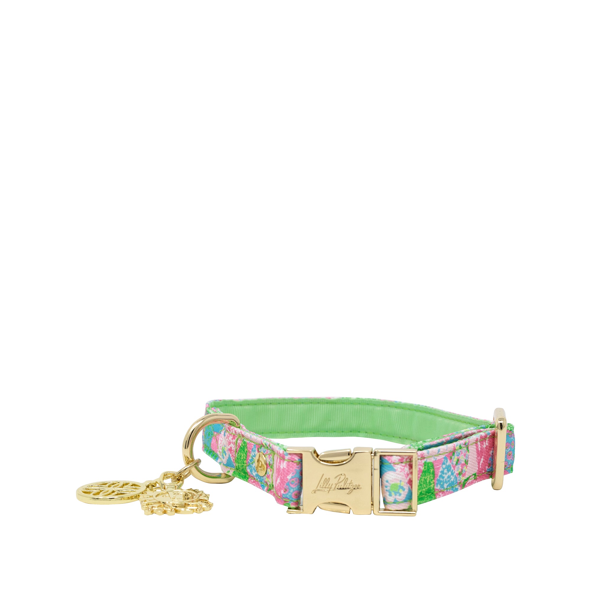 LG Small DOG COLLAR