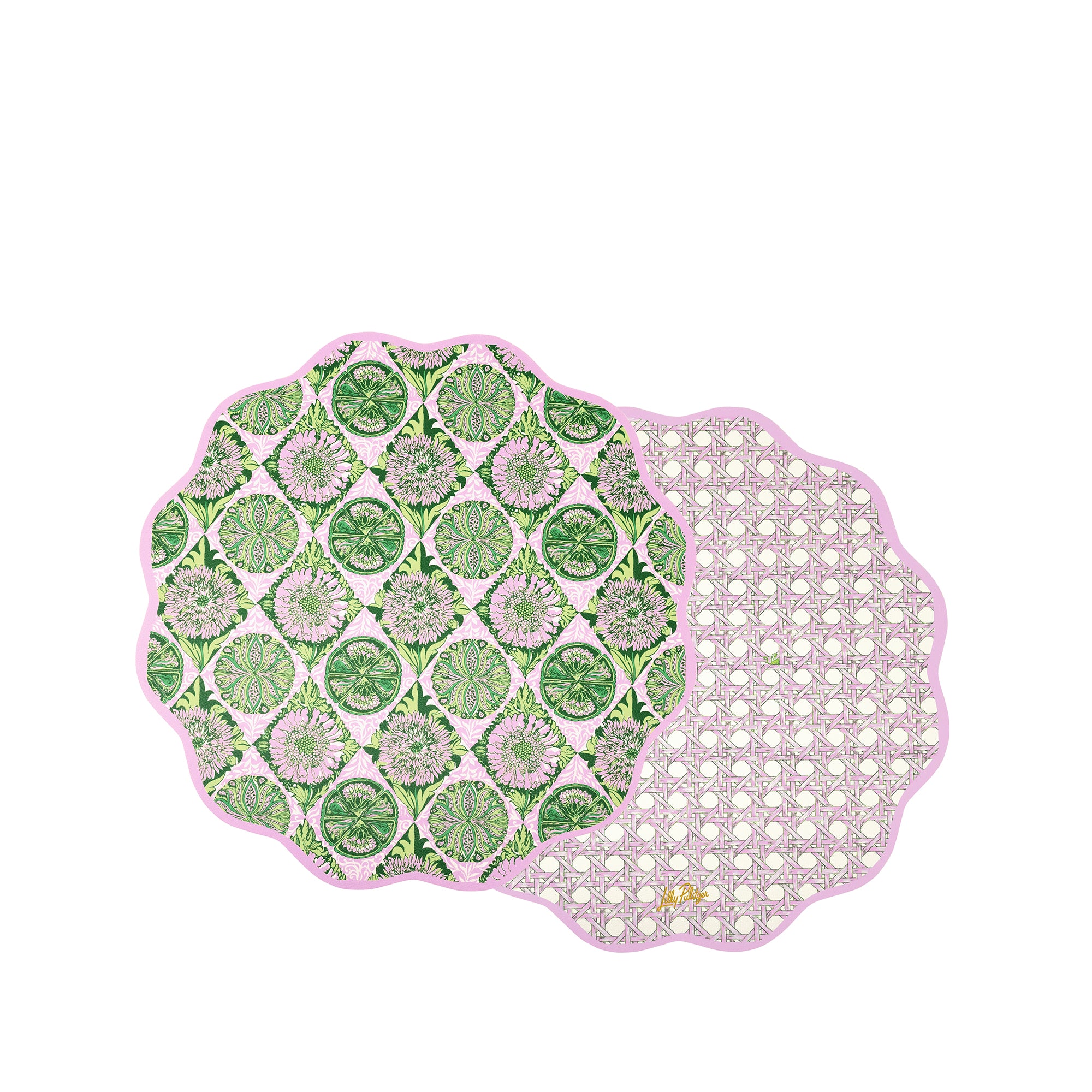 REVERSIBLE WIPEABLE PLACEMAT