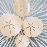 TELETIES - Sand Dollar | Medium | Flat Shape Hair Clip